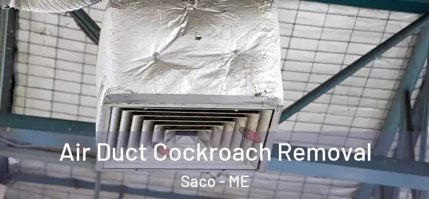 Air Duct Cockroach Removal Saco - ME