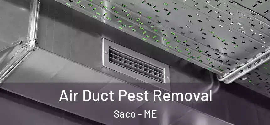 Air Duct Pest Removal Saco - ME
