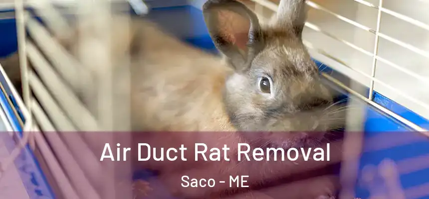 Air Duct Rat Removal Saco - ME