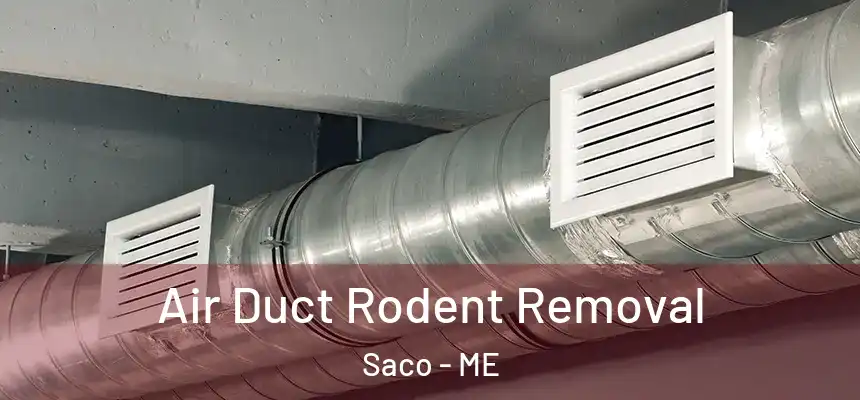 Air Duct Rodent Removal Saco - ME