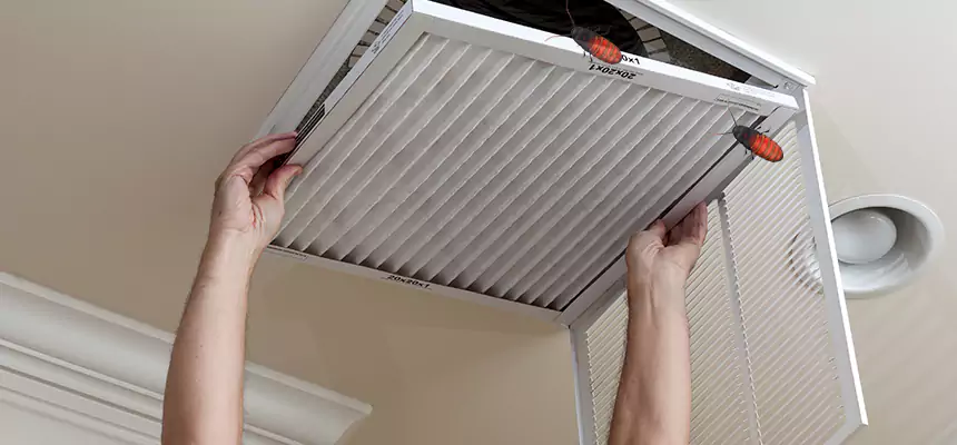 Preventive Cockroach-Proofing for Ducts in Saco