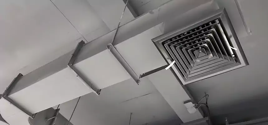 Restorative Allergy Relief Vent Cleaning – Coil, Blower & Housing Detail in Saco