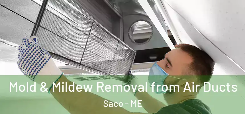  Mold & Mildew Removal from Air Ducts Saco - ME
