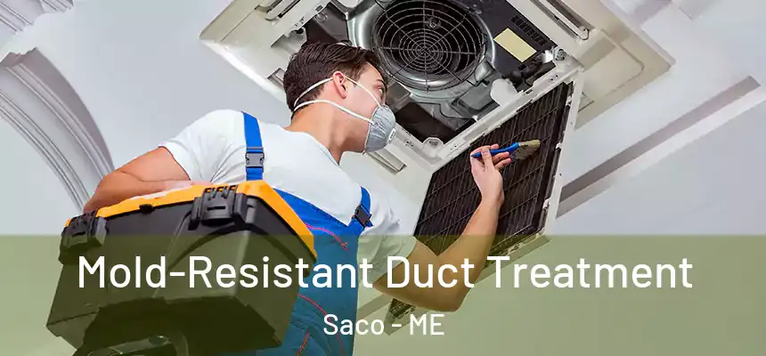 Mold-Resistant Duct Treatment Saco - ME