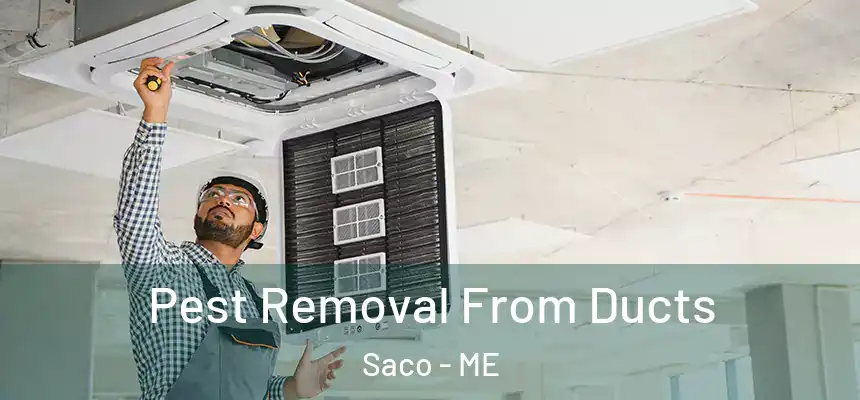Pest Removal From Ducts Saco - ME