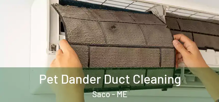 Pet Dander Duct Cleaning Saco - ME