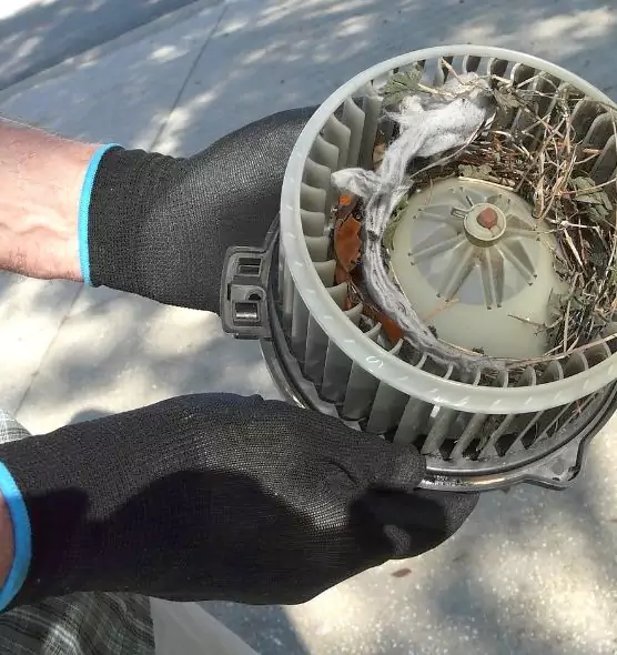 About Air Duct Rat Removal in Saco, ME