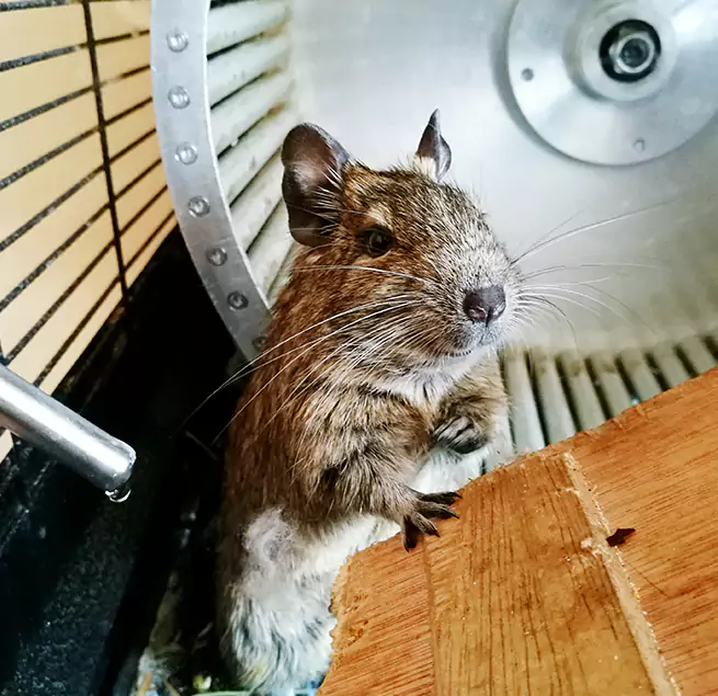 Why Homeowners & Businesses Trust Us Saco, ME